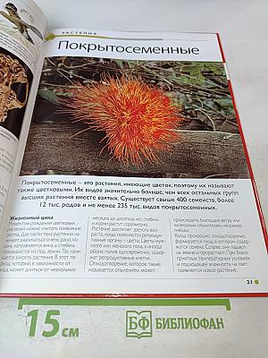 Наш мир от А до Я. Энциклопедия для детей. Том 43