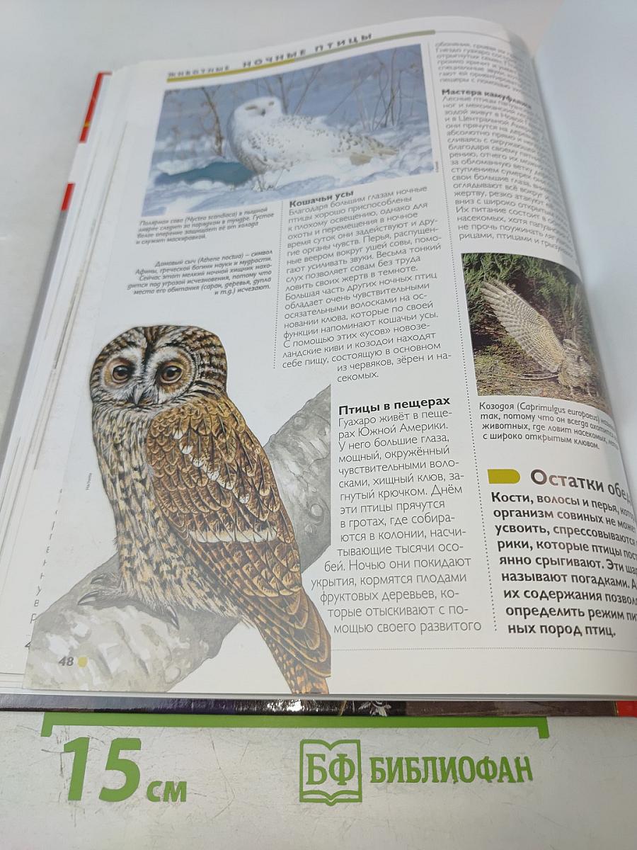 Наш мир от А до Я. Энциклопедия для детей. Том 35