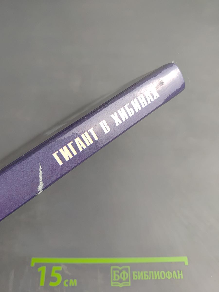 Гигант в Хибинах