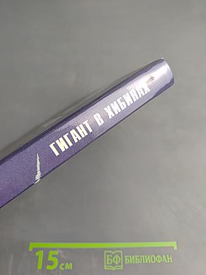 Гигант в Хибинах