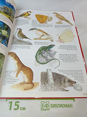 Наш мир от А до Я. Энциклопедия для детей №38. От оптических приборов до Александра Островского