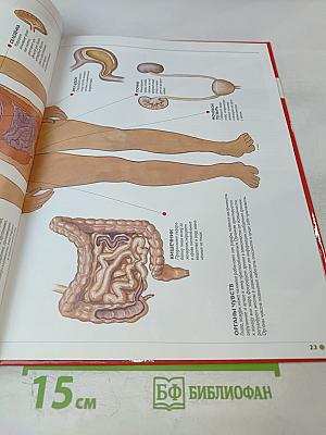 Наш мир от А до Я. Энциклопедия для детей №38. От оптических приборов до Александра Островского