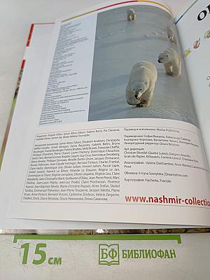 Наш мир от А до Я. Энциклопедия для детей. Том 39: От охотничьих инстинктов до парусных кораблей