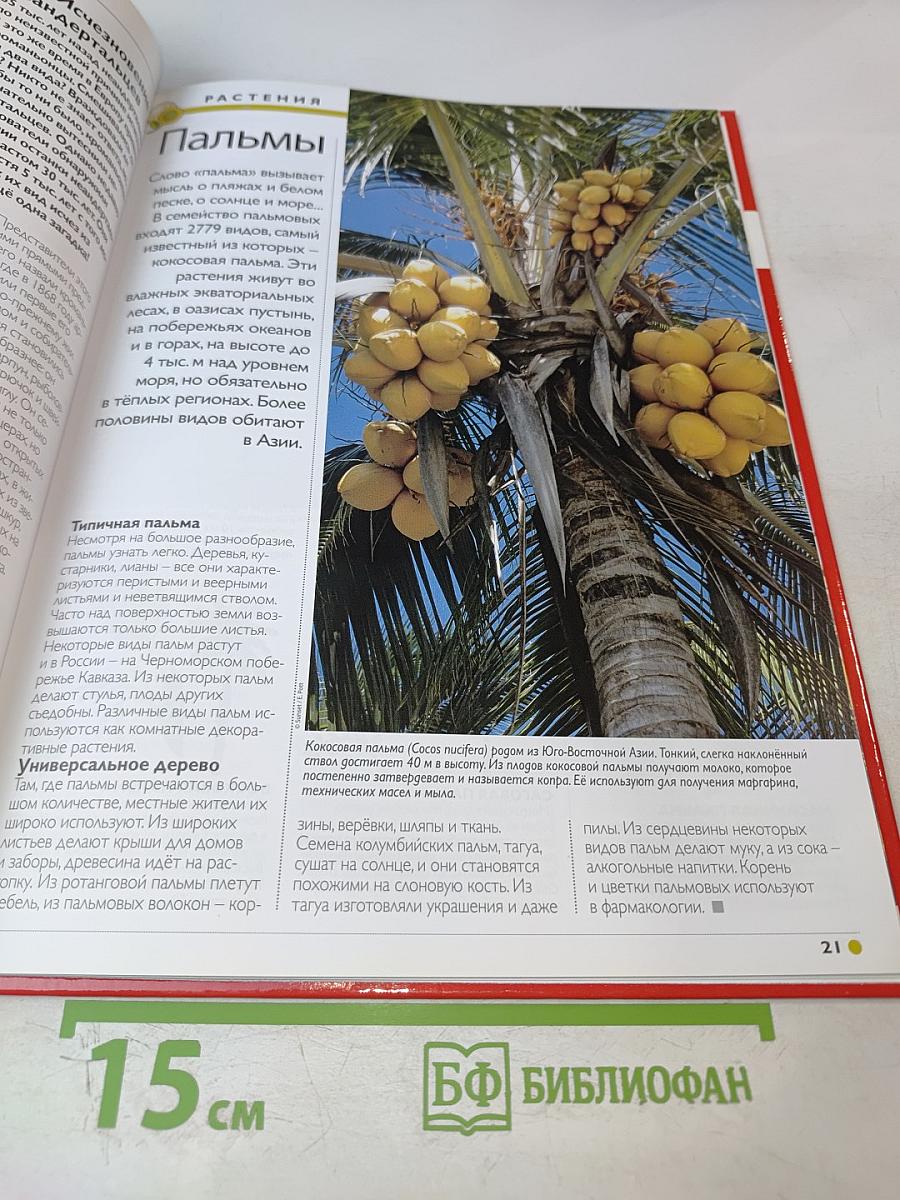 Наш мир от А до Я. Энциклопедия для детей. Том 39: От охотничьих инстинктов до парусных кораблей