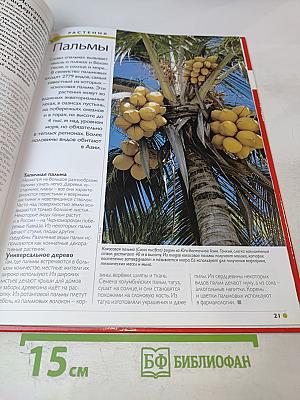 Наш мир от А до Я. Энциклопедия для детей. Том 39: От охотничьих инстинктов до парусных кораблей