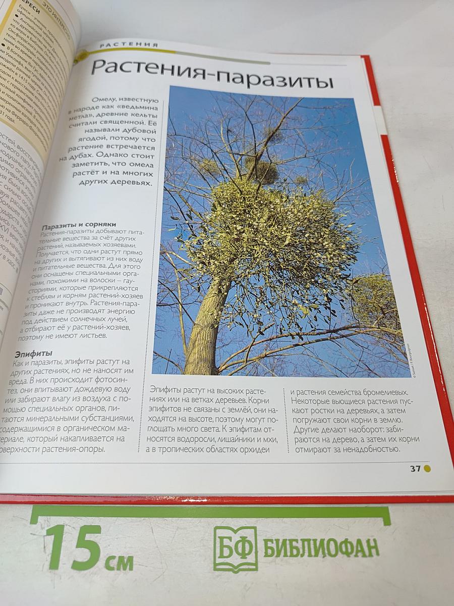 Наш мир от А до Я. Энциклопедия для детей. Том 39: От охотничьих инстинктов до парусных кораблей