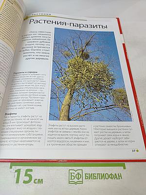 Наш мир от А до Я. Энциклопедия для детей. Том 39: От охотничьих инстинктов до парусных кораблей