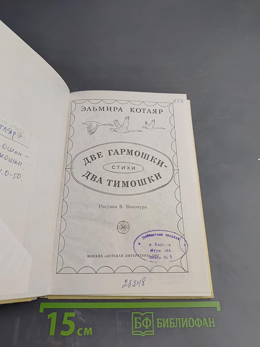 Две гармошки - два Тимошки. Стихи