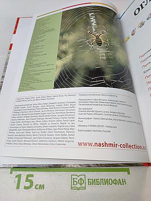 Наш мир от А до Я. Энциклопедия для детей. Том 40: От парусных судов мира до Петергофа