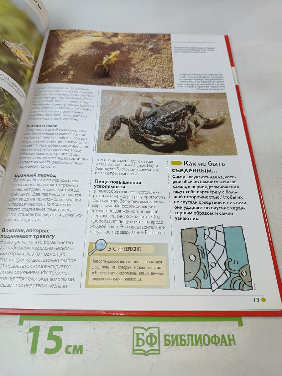 Наш мир от А до Я. Энциклопедия для детей. Том 40: От парусных судов мира до Петергофа