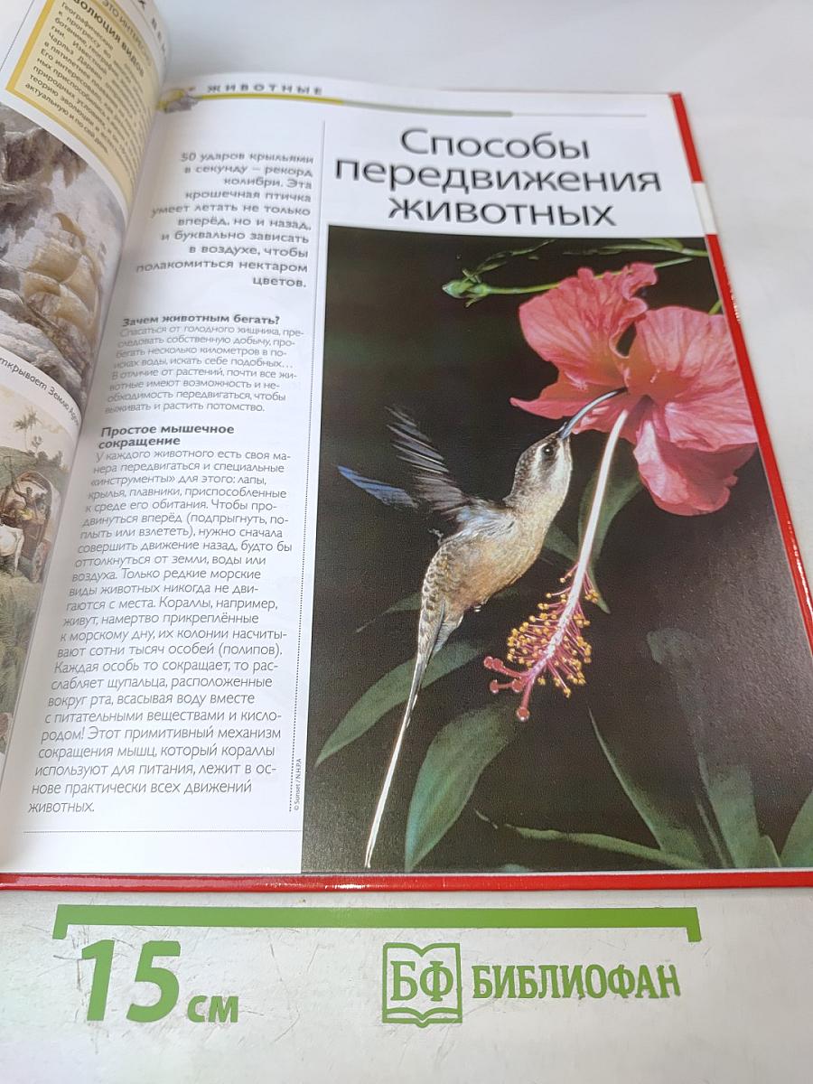 Наш мир от А до Я. Энциклопедия для детей. Том 40: От парусных судов мира до Петергофа