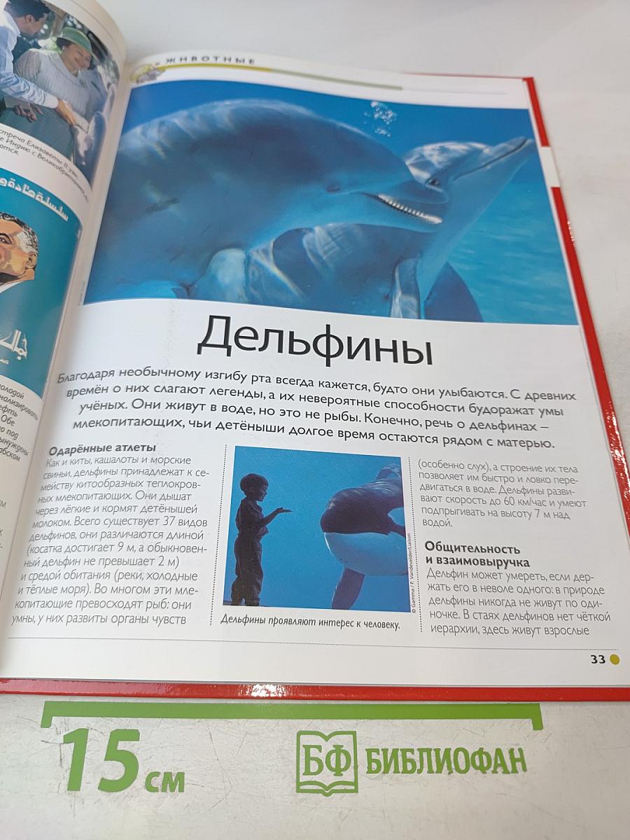 Наш мир от А до Я. Энциклопедия для детей. Том 13: От Грибоедова до Джаза