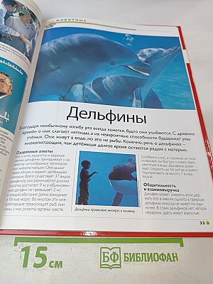 Наш мир от А до Я. Энциклопедия для детей. Том 13: От Грибоедова до Джаза