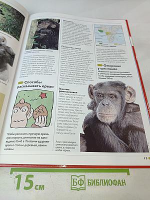 Наш мир от А до Я. Энциклопедия для детей №12: От голода до Греции