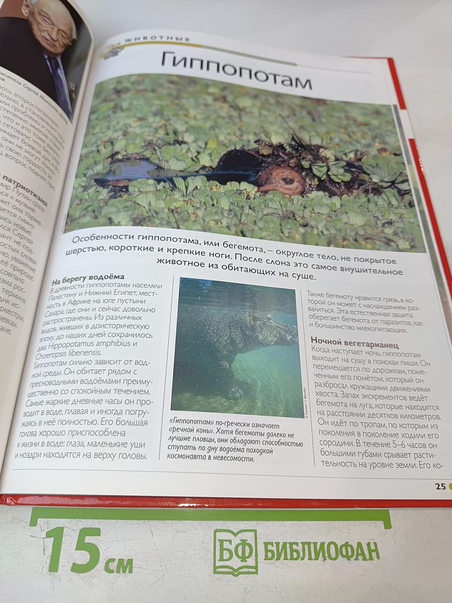 Наш мир от А до Я. Энциклопедия для детей. №11. От Германии до Гоголя