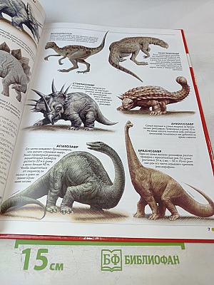 Наш мир от А до Я. Энциклопедия для детей №49