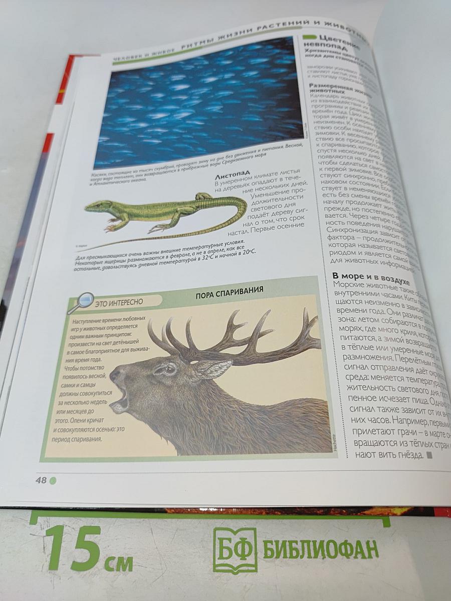 Наш мир от А до Я. Энциклопедия для детей №49