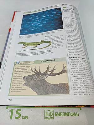 Наш мир от А до Я. Энциклопедия для детей №49