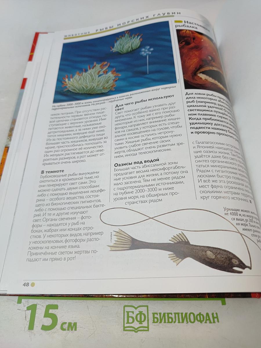 Наш мир от А до Я. Энциклопедия для детей. №50. От Ричарда Львиное Сердце до рыб морских глубин