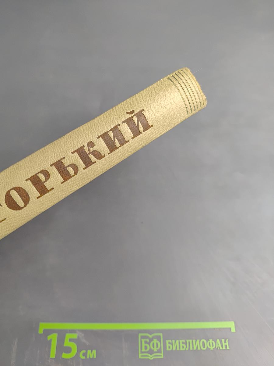 Собрание сочинений. Том 18. Литературные портреты