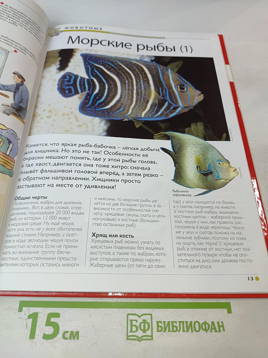 Наш мир от А до Я. Энциклопедия для детей №51. От рыбной ловли до Сахалина