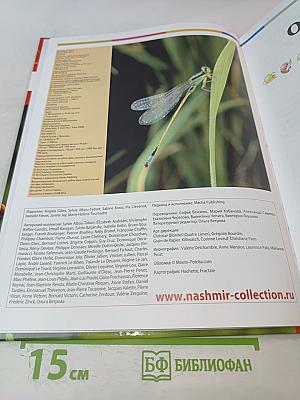 Наш мир от А до Я. Энциклопедия для детей № 34. От Модеста Мусоргского до невесомости