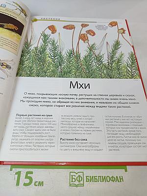 Наш мир от А до Я. Энциклопедия для детей № 34. От Модеста Мусоргского до невесомости