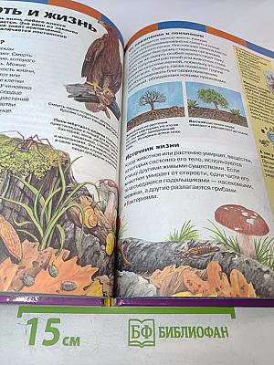 Энциклопедия для любознательных. Жизнь на Земле