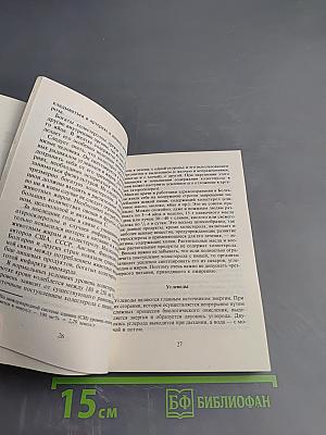 Как питаться правильно