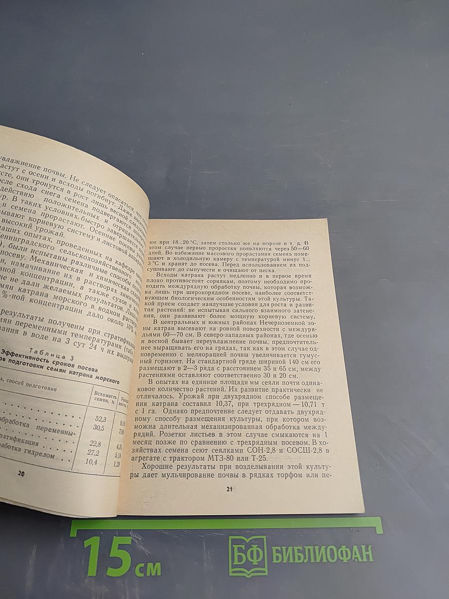Многолетние пряновкусовые овощи