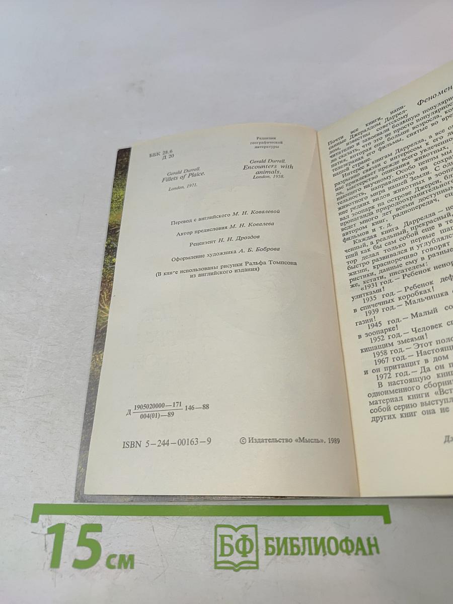 Мясной рулет