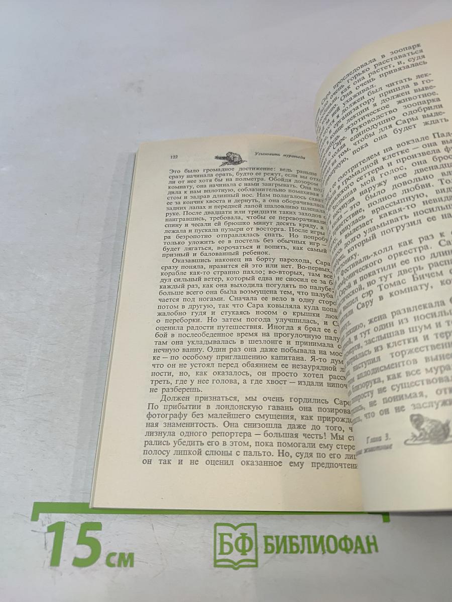 Мясной рулет