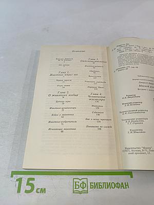 Мясной рулет