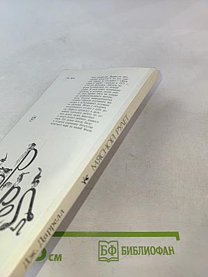 Мясной рулет