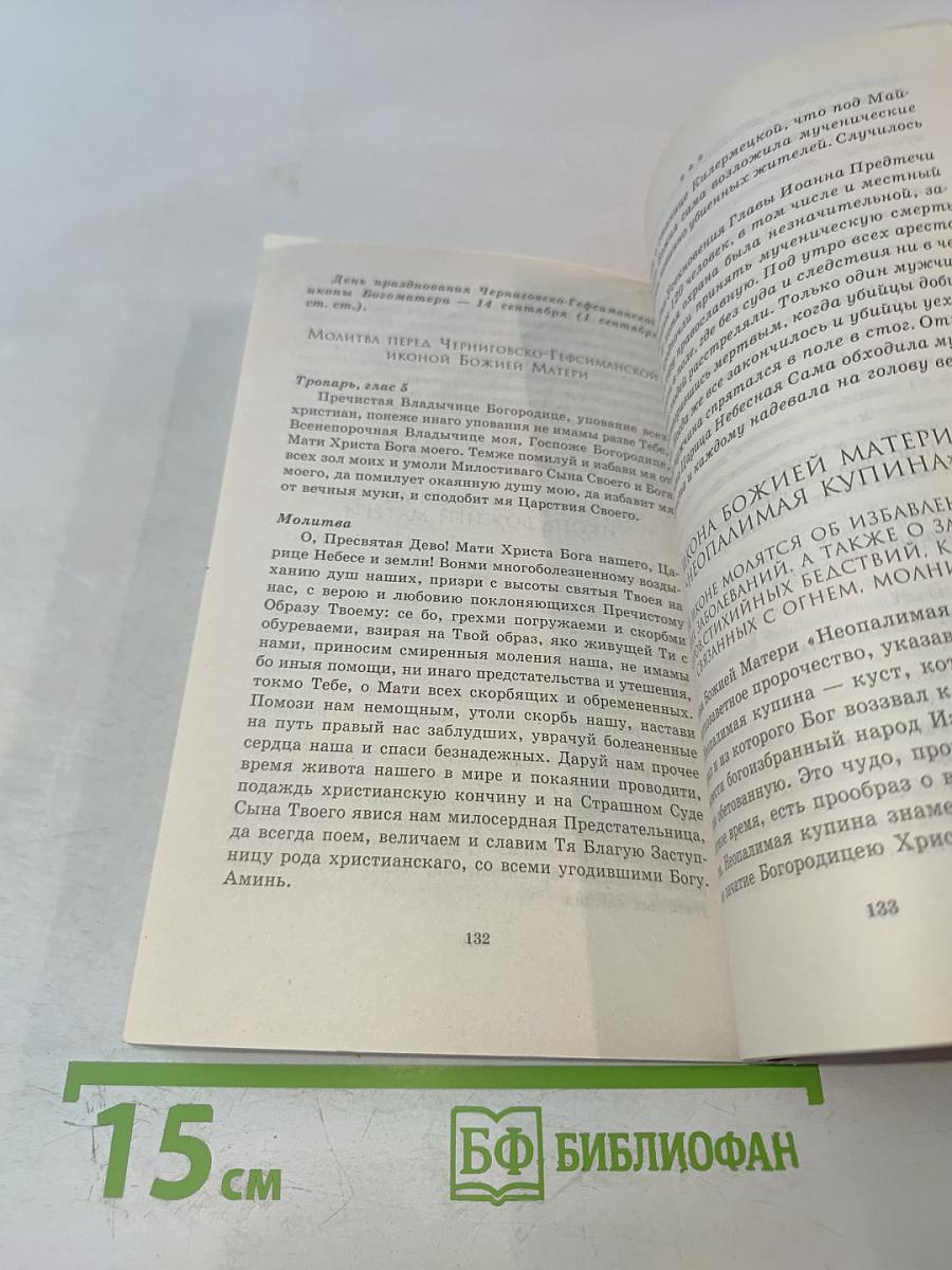 Иконы Пресвятой Богородицы. Образы • Молитвы • Заступничество
