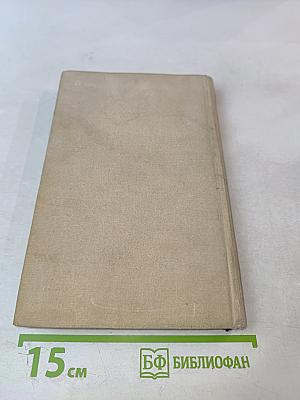 Арсен из Марабды