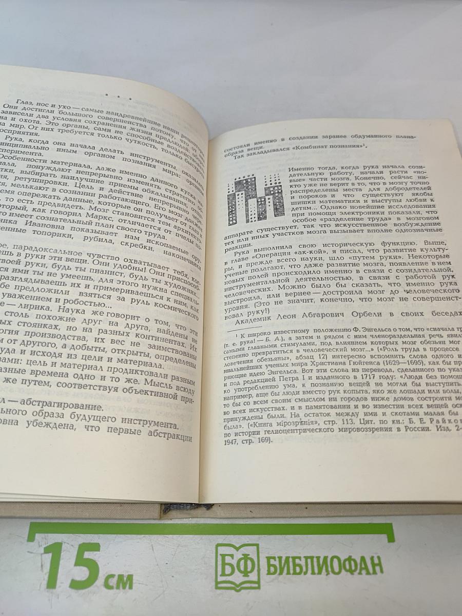 Взбирается разум