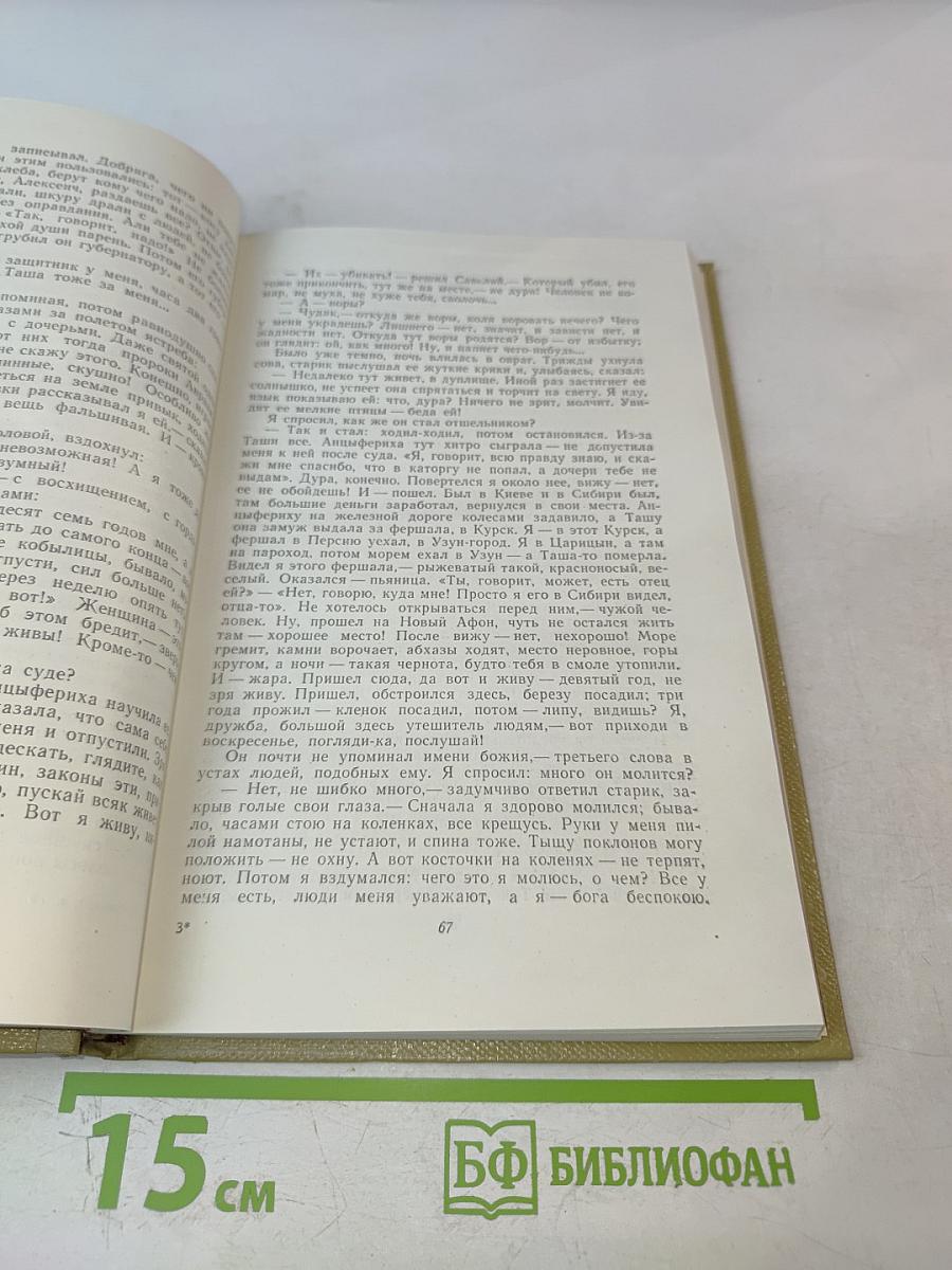 Собрание сочинений. Том 10. Произведения 1923-1925