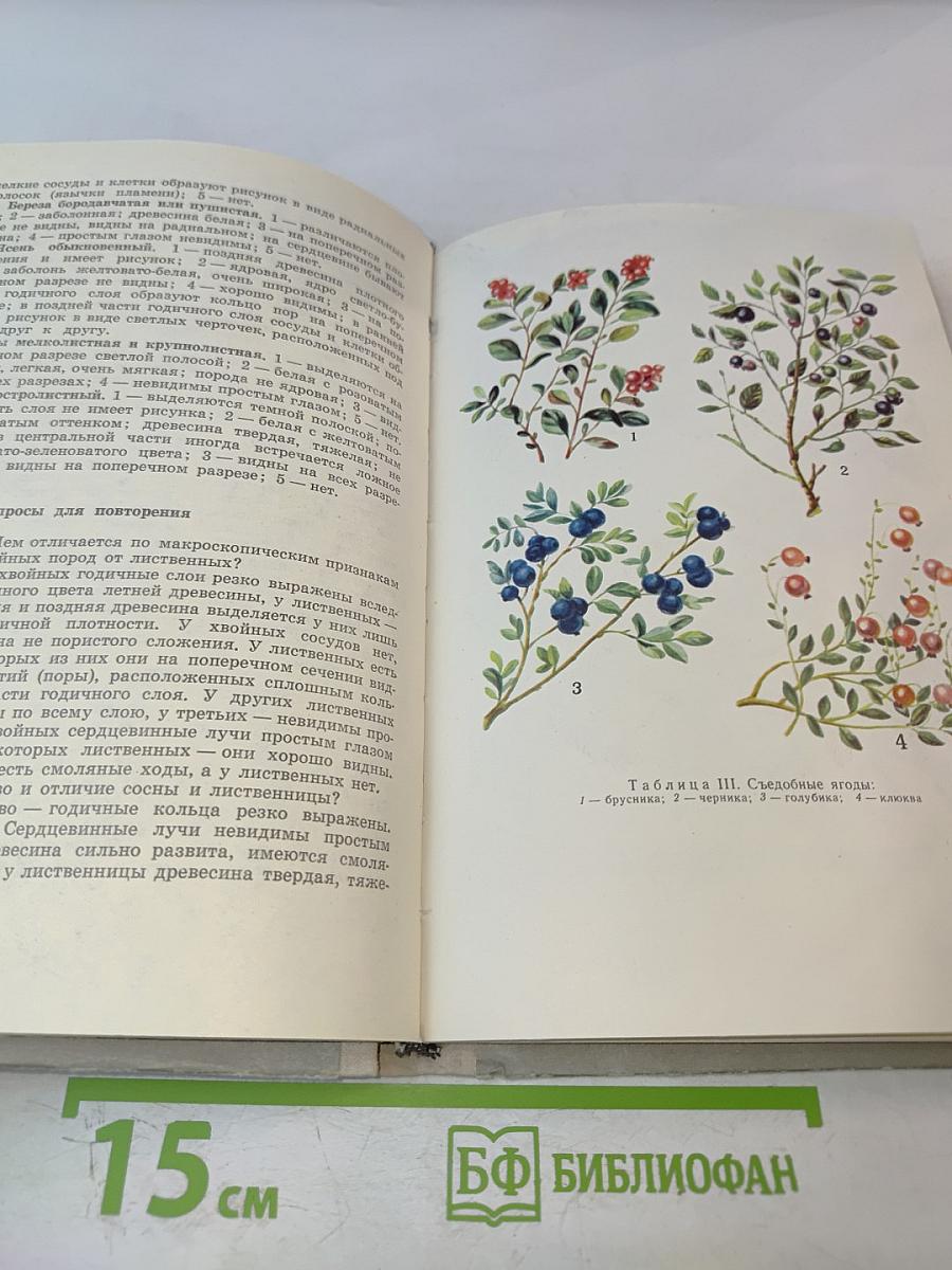 Школьникам о лесе