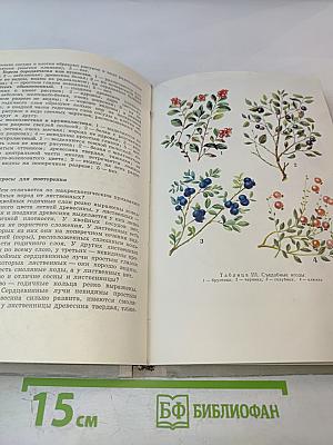 Школьникам о лесе