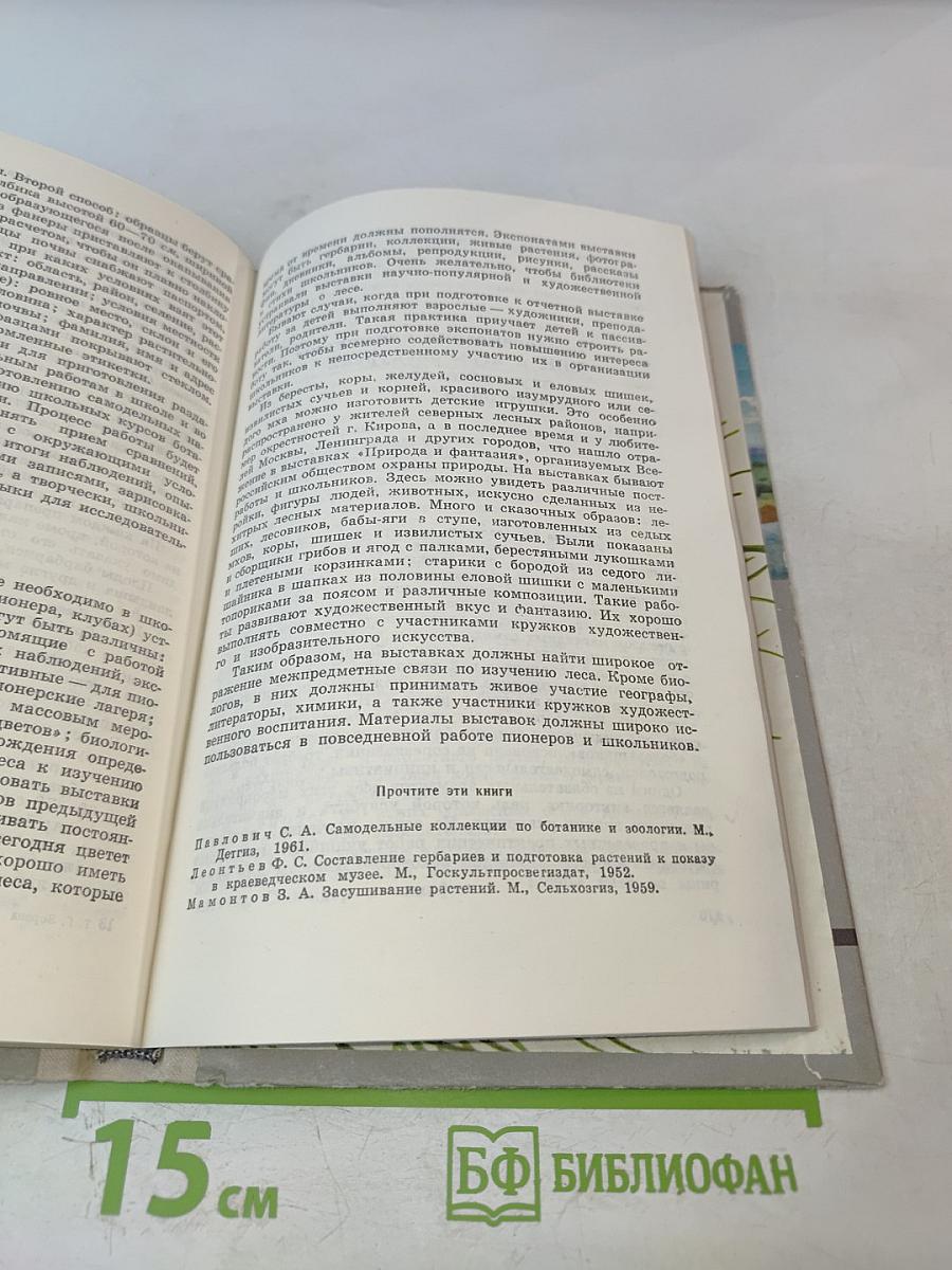 Школьникам о лесе