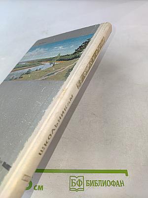 Школьникам о лесе