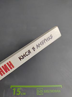 Кыся в Америке