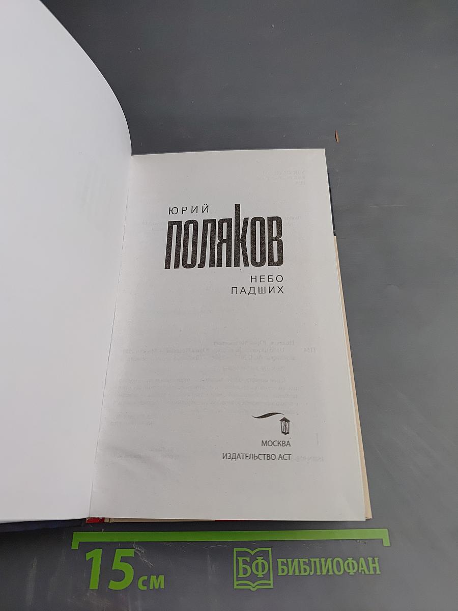 Небо падших