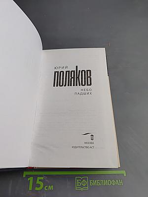 Небо падших