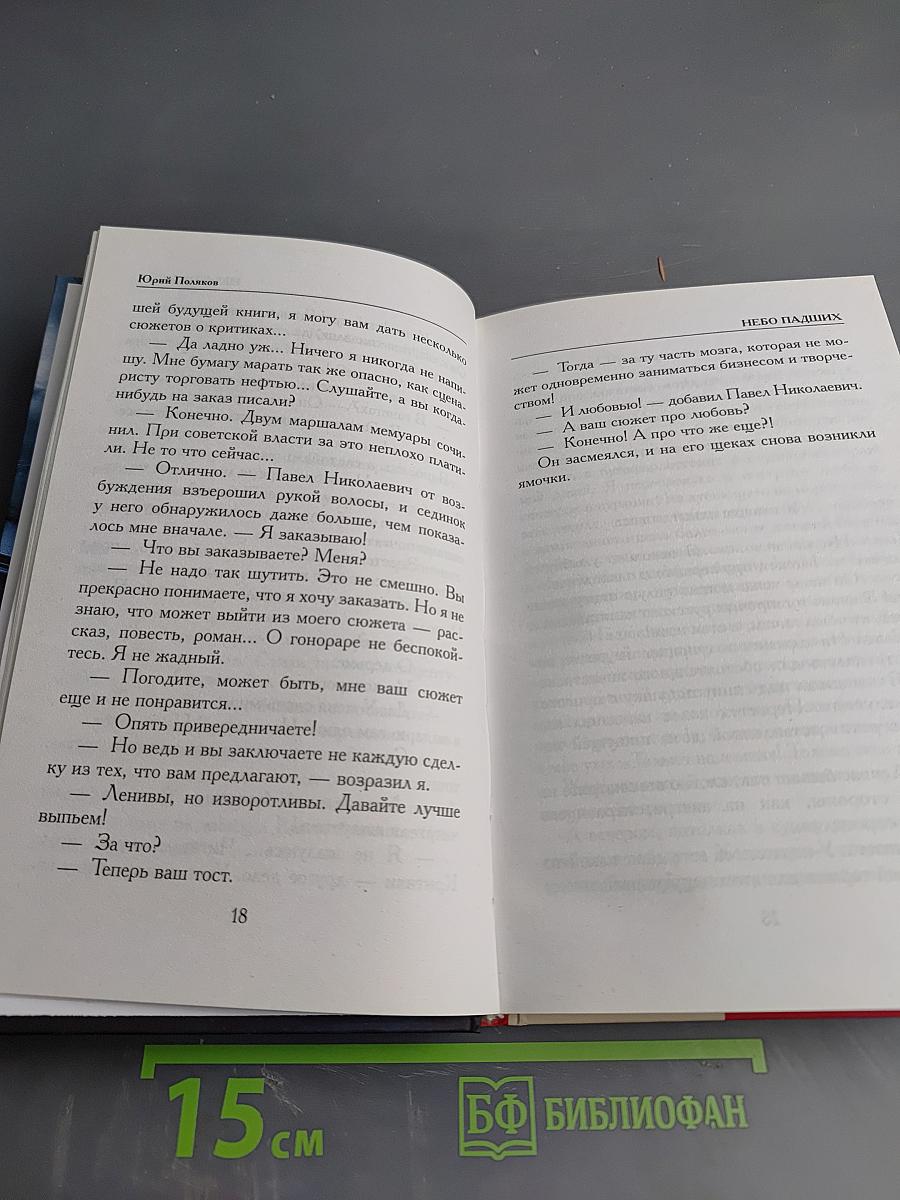 Небо падших