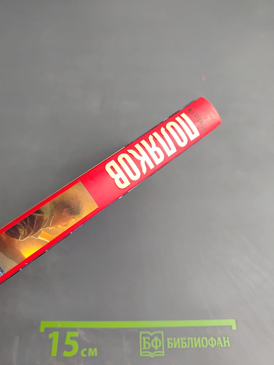 Небо падших