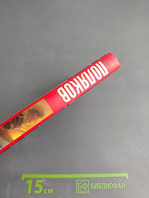 Небо падших