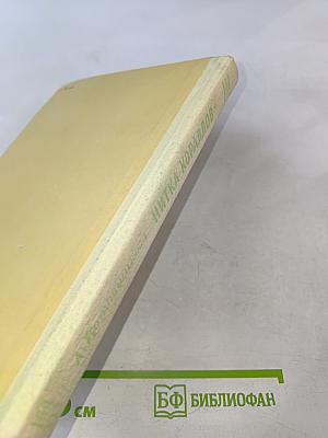 Нитка кораллов