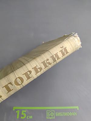 Собрание сочинений. Том 11: Произведения 1924-1931. Дело Артамоновых